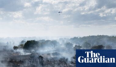 Calls to ban disposable barbecues in England and Wales over wildfire risk | Wildfires