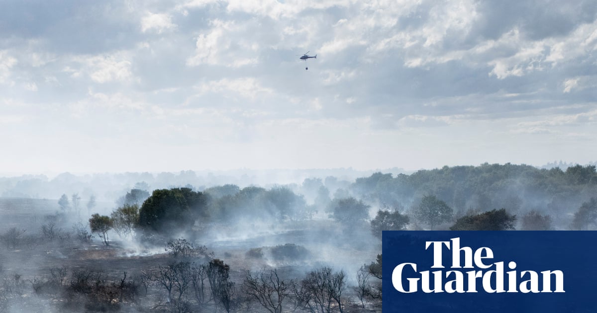 Calls to ban disposable barbecues in England and Wales over wildfire risk | Wildfires