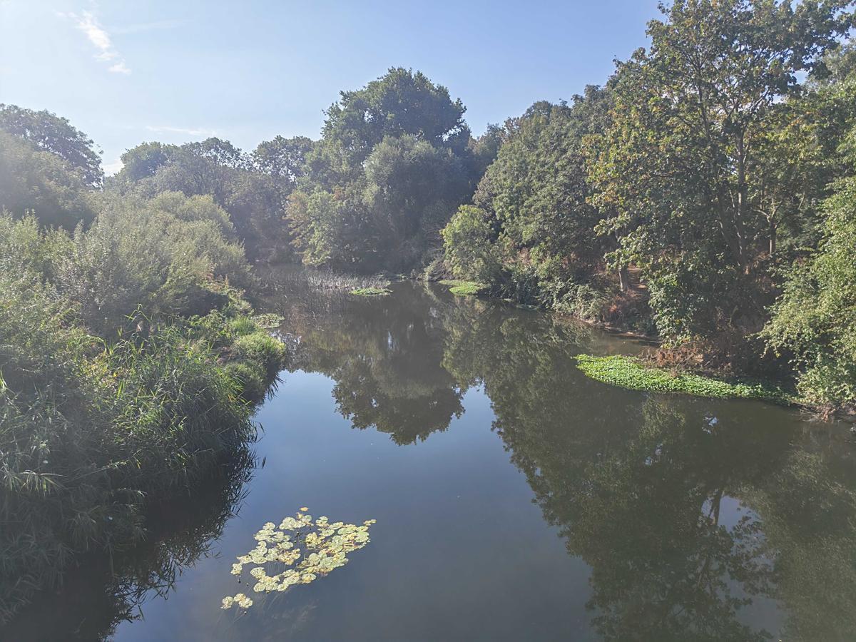 Boy, 12, drowns in River Lea near Hackney Marshes - London Evening Standard