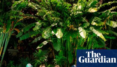 The great British switch-off: how floating retreats, mobile-free pubs and sauna book groups are liberating people from their phones | Smartphones