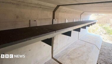 A ledge built in a culvert which is designed to provide a safe passage for mammals underneath a road. The culvert is brand new and there is no water in it. At the end a mound of earth is visible. It is a sunny day.