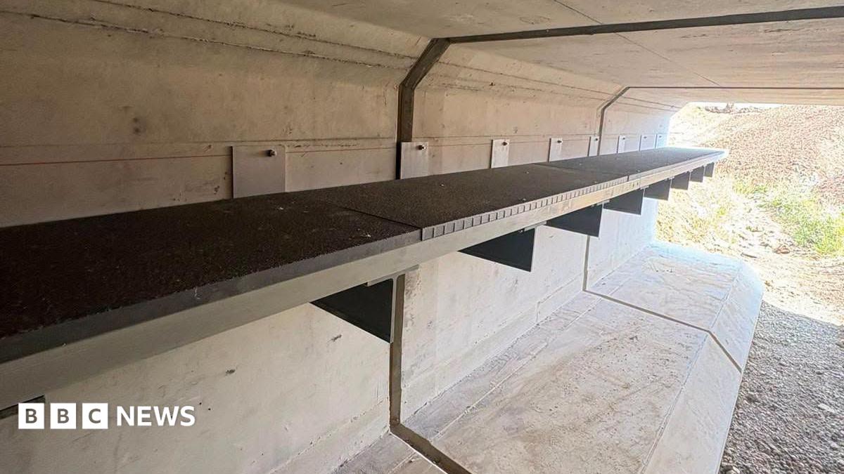 A ledge built in a culvert which is designed to provide a safe passage for mammals underneath a road. The culvert is brand new and there is no water in it. At the end a mound of earth is visible. It is a sunny day.
