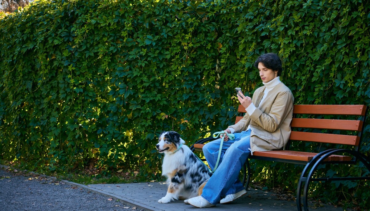 Stopping a cyberattack while walking your dog