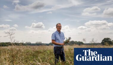 ‘Worst we’ve known’: UK turns to imports as drought and heat hit vegetable crops | Food & drink industry
