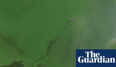 From toxic blooms to dead zones, how wildfires transform oceans and lakes | Biology