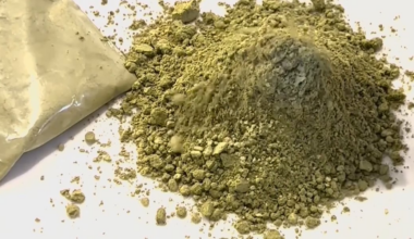 Kratom’s growing popularity raises questions over benefits and risks