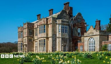 Felbrigg Hall, a multi-storey Jacobean-style stone, flint and brick built building with large mullioned windows and very tall chimneys. In front of it is grass covered in yellow daffodils and above it is a bright blue sky.