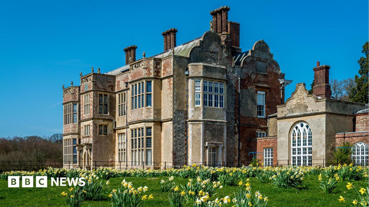 Felbrigg Hall, a multi-storey Jacobean-style stone, flint and brick built building with large mullioned windows and very tall chimneys. In front of it is grass covered in yellow daffodils and above it is a bright blue sky.