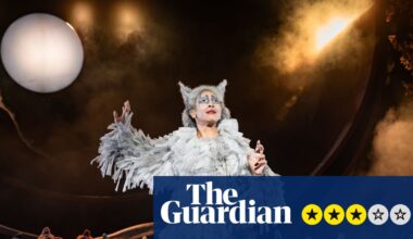 Cats review – it’s a jellicle jumble as Andrew Lloyd Webber’s moggies get the zoomies | Theatre