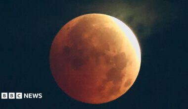 The image shows a clear picture of a full moon with life reflecting off of it, against a clear night sky.