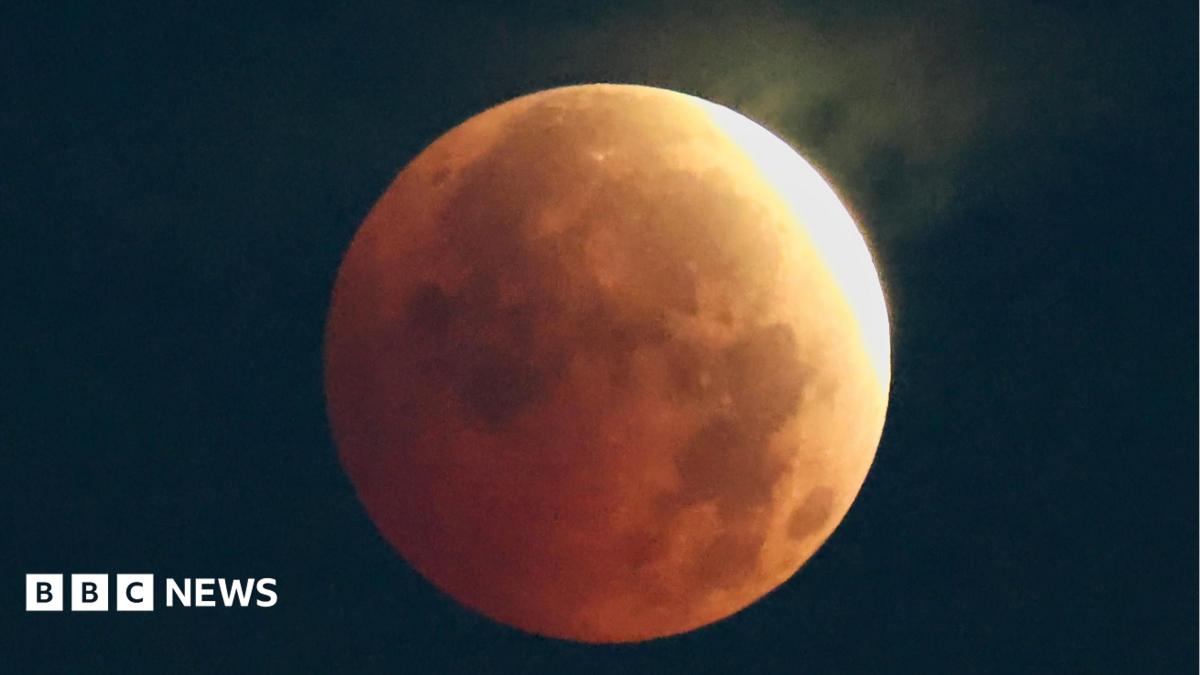 The image shows a clear picture of a full moon with life reflecting off of it, against a clear night sky.