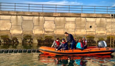 ‘Nature needs all the help it can get’: projects aim to re-establish oyster reefs – The Irish Times