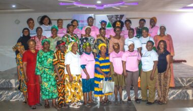 HOGWIN WiFIn Empowers Military Widows with Agribusiness Skills, Access to Credit – THISDAYLIVE