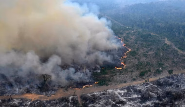 ‘Super’ El Nino could doom the Amazon Rainforest
