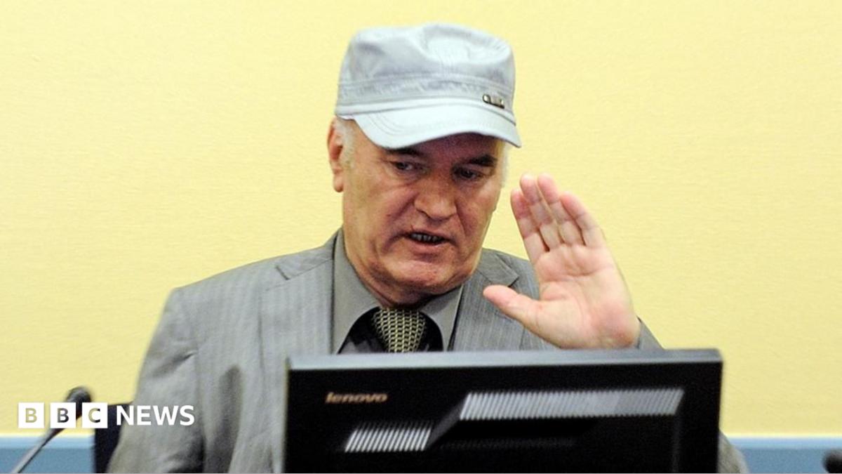 Former Bosnian Serb commander Ratko Mladic appears in court at the International Criminal Tribunal for the former Yugoslavia (ICTY) in the Hague, June 3, 2011