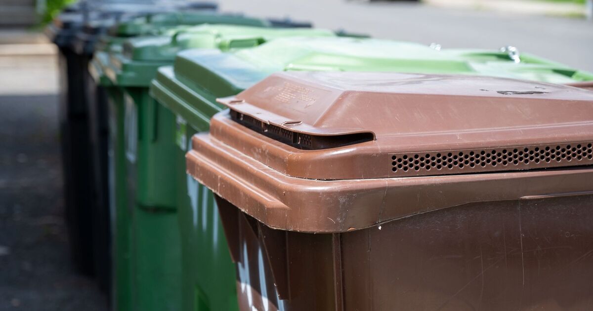 Households told waste 'won't be taken' if common item is in recycling | UK | News