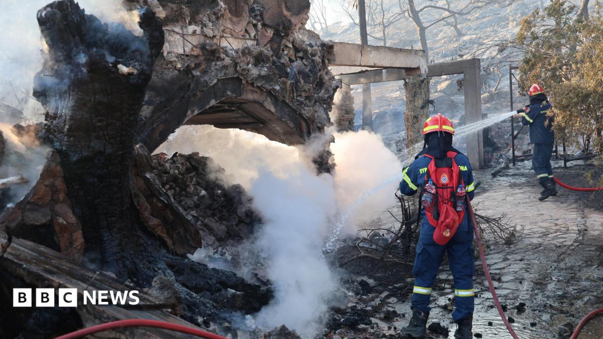 Firefighters work on a wildfire which prompted evacuations on the island of Salamina