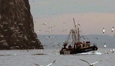 How Scots ministers failed to meet legal target to protect seabed