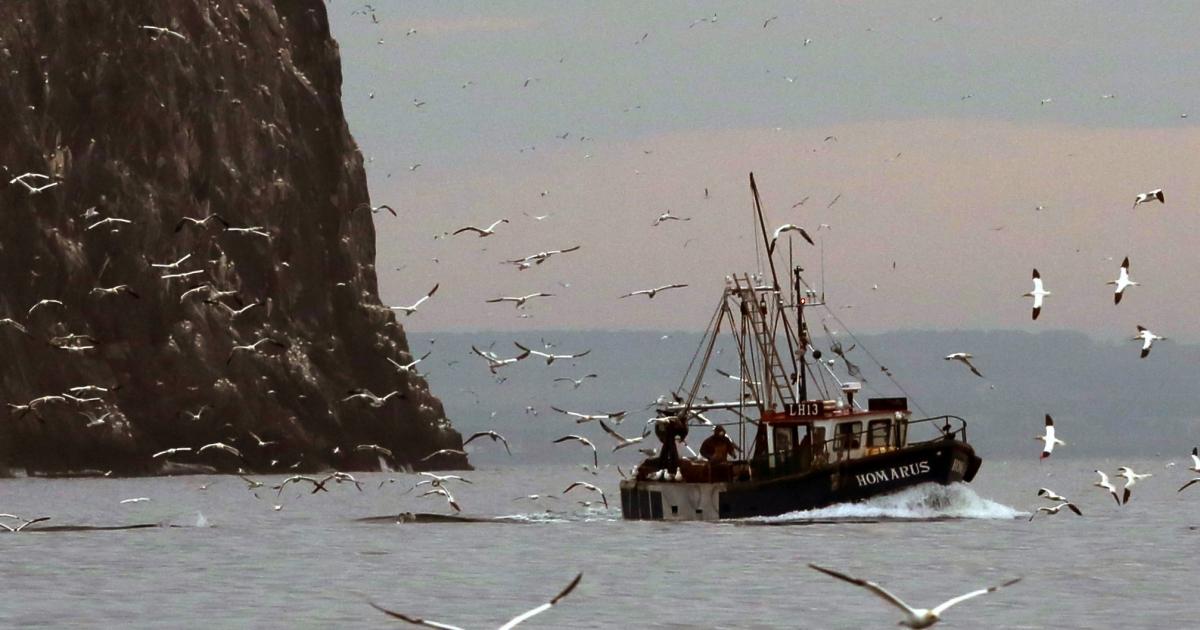 How Scots ministers failed to meet legal target to protect seabed