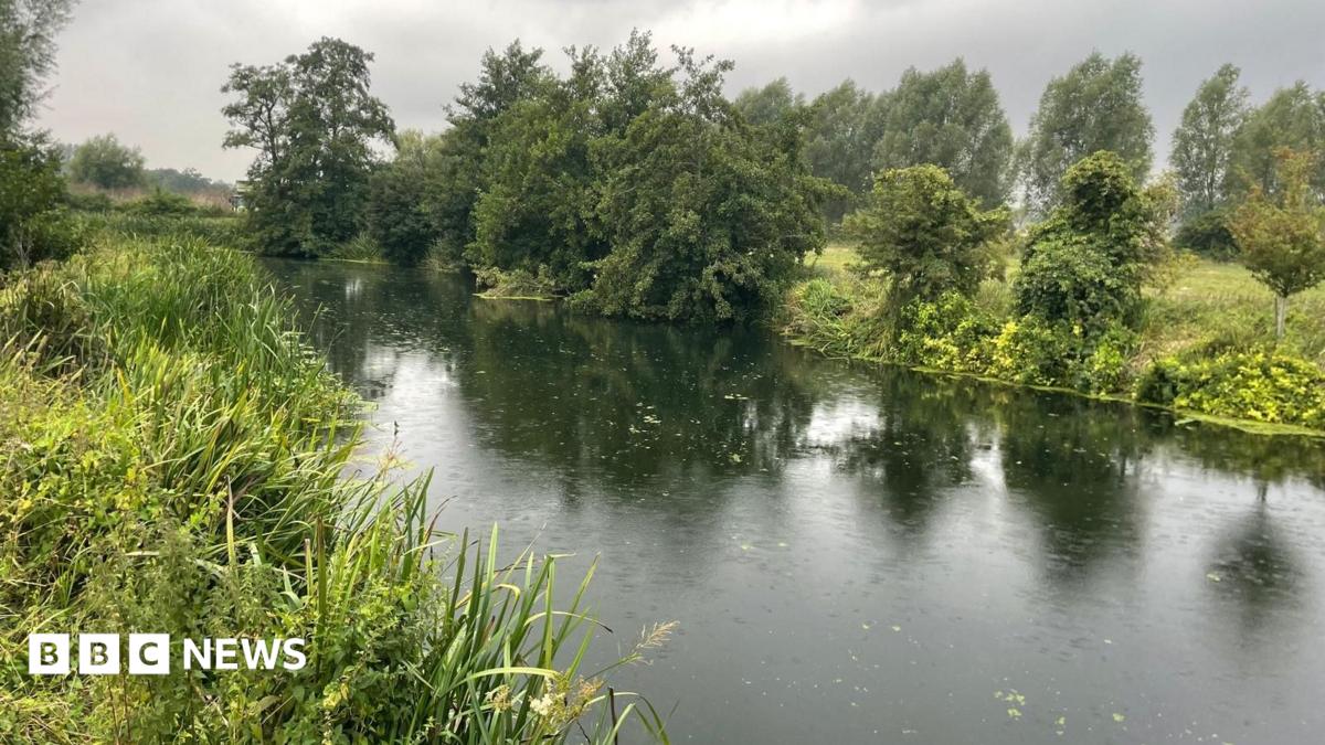 A landscape view of the River Stour with shrubbery on both sides and light glistening off of the water surface