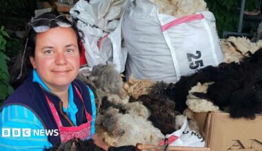 A woman in her late 30s with dark hair tied back. She has glasses on her head and is wearing a blue striped shirt with a pink apron on top. She is surrounded by bags of wool.