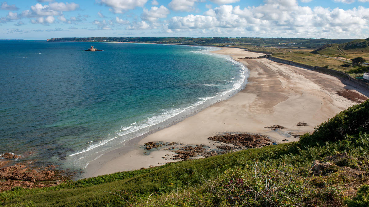 Beach closed after large shark spotted in Channel