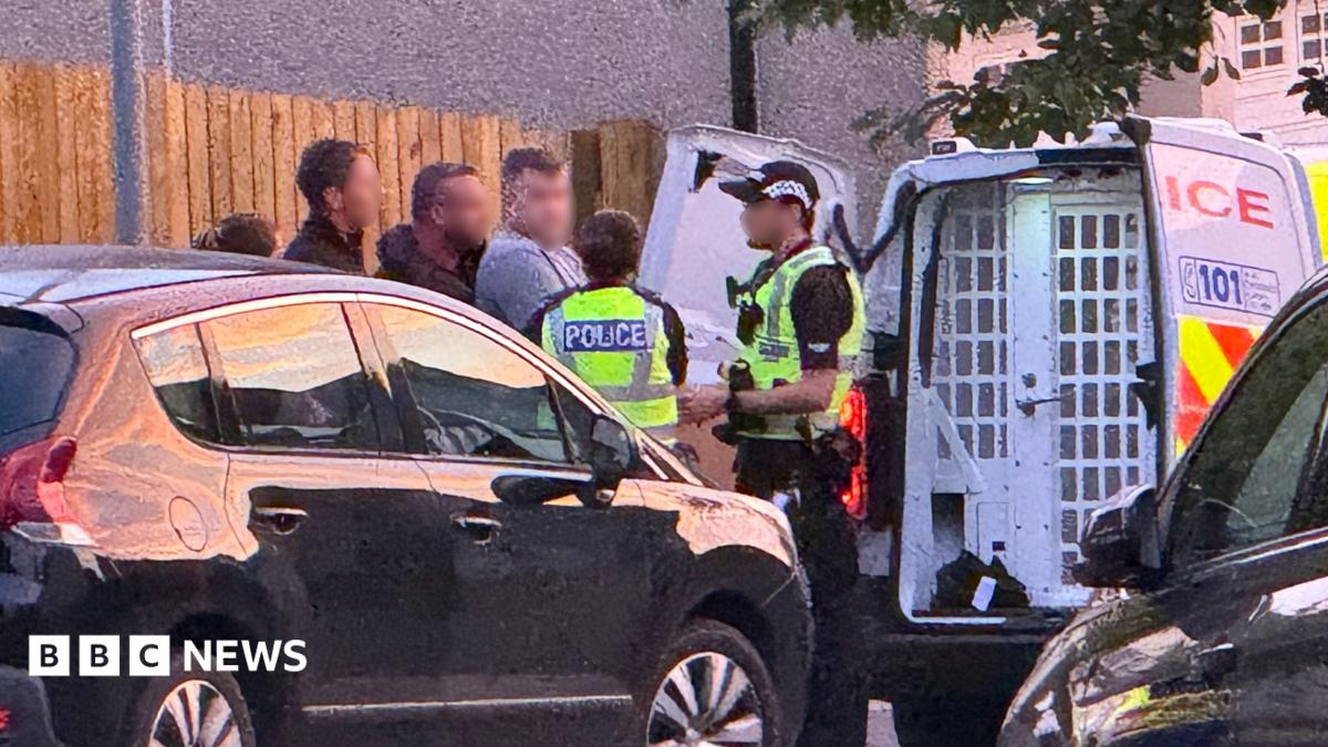 A man wearing a grey t-shirt being put into the back of a police van by three police officers