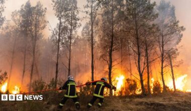 Two firefighters pull a red hose in front of a forest on fire.