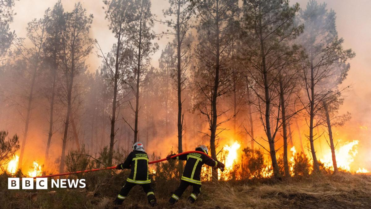 Two firefighters pull a red hose in front of a forest on fire.