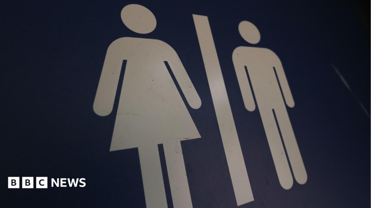 A blue gender neutral toilet sign, showing an image of a woman on the left and the image of a man on the right.
