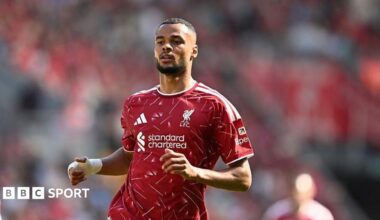 Liverpool forward Cody Gakpo during a Premier League match, with Tottenham interested in signing the Netherlands international