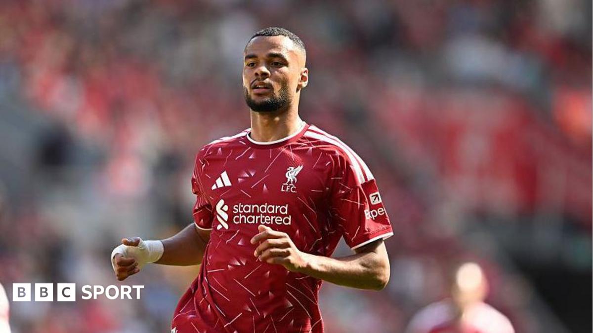Liverpool forward Cody Gakpo during a Premier League match, with Tottenham interested in signing the Netherlands international