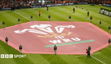Welsh Rugby Union logo on Principality Stadium ground