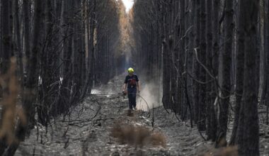 French wildfire near Bordeaux contained as 1,500 firefighters battle separate blaze in Provence
