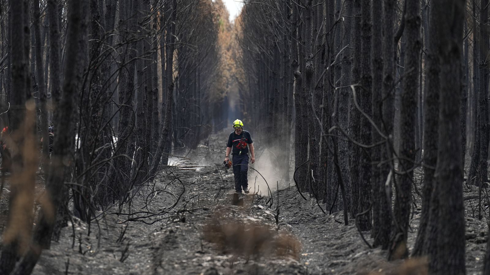 French wildfire near Bordeaux contained as 1,500 firefighters battle separate blaze in Provence