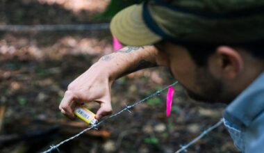 How many bears are there in CT? Here’s what it takes to find out.
