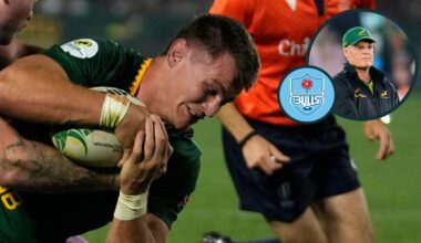 Rassie Erasmus releases Springboks pair for Bulls duty, forcing Johan Ackermann into late changes for All Blacks showdown