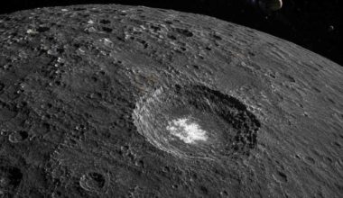 CM Type Carbonaceous Chondrite Parent Body Asteroid