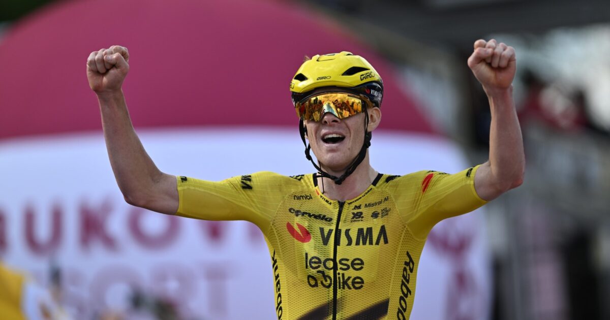 Team Visma | Lease a Bike