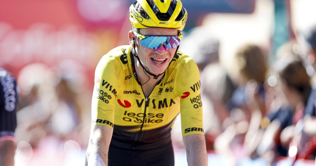 Team Visma | Lease a Bike