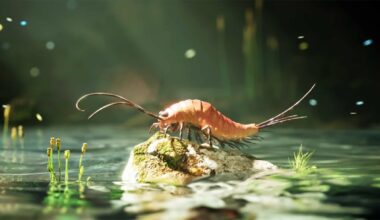 Bizarre Fossil Turns Out to Be a 24-Legged Insect Science Somehow Missed : ScienceAlert