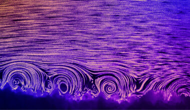 Corals Spin Tiny Vortices to Get Oxygen, but Not if It’s Too Hot