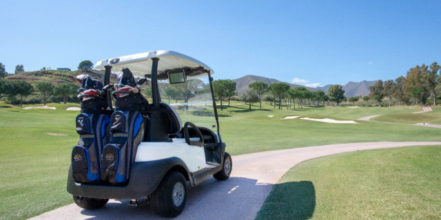 I played golf in a buggy for the first time and didn