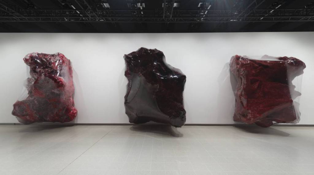 three strange dark coloured red and black sculptures that look to be pushing their way out of stark white walls