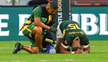 Rassie provides bleak Willemse injury update - new zealand