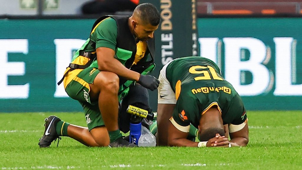 Rassie provides bleak Willemse injury update - new zealand
