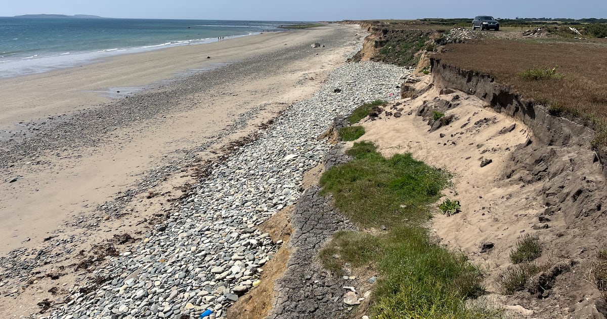 Ireland’s coastline – erosion in Wexford: ‘There’s nobody protecting my land for me’ – The Irish Times