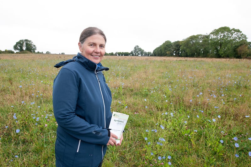 Maureen Kilgore at Pollards Organic Farm, Ballywilliam, Co Wexford. Photograph: Jim Campbell
