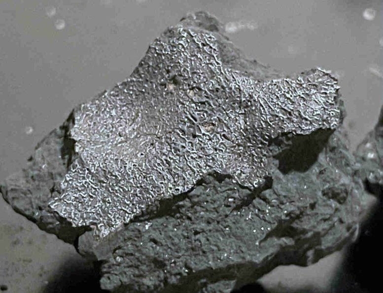 Fragment of the Hillsborough Meteorite
