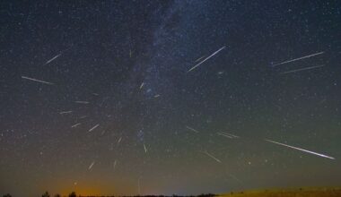 How and When to View the Perseid Meteor Shower (August 2026)